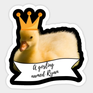 Royal Geese A Gosling Named Ryan Sticker